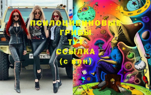 хмурый Алексеевка