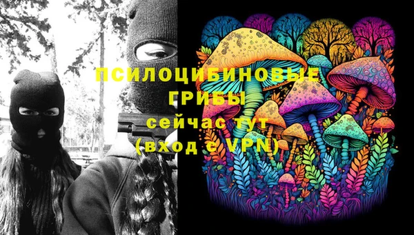 крисы Карпинск
