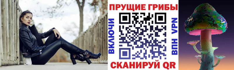 mega маркетплейс  купить наркотик  Курган  Псилоцибиновые грибы ЛСД 